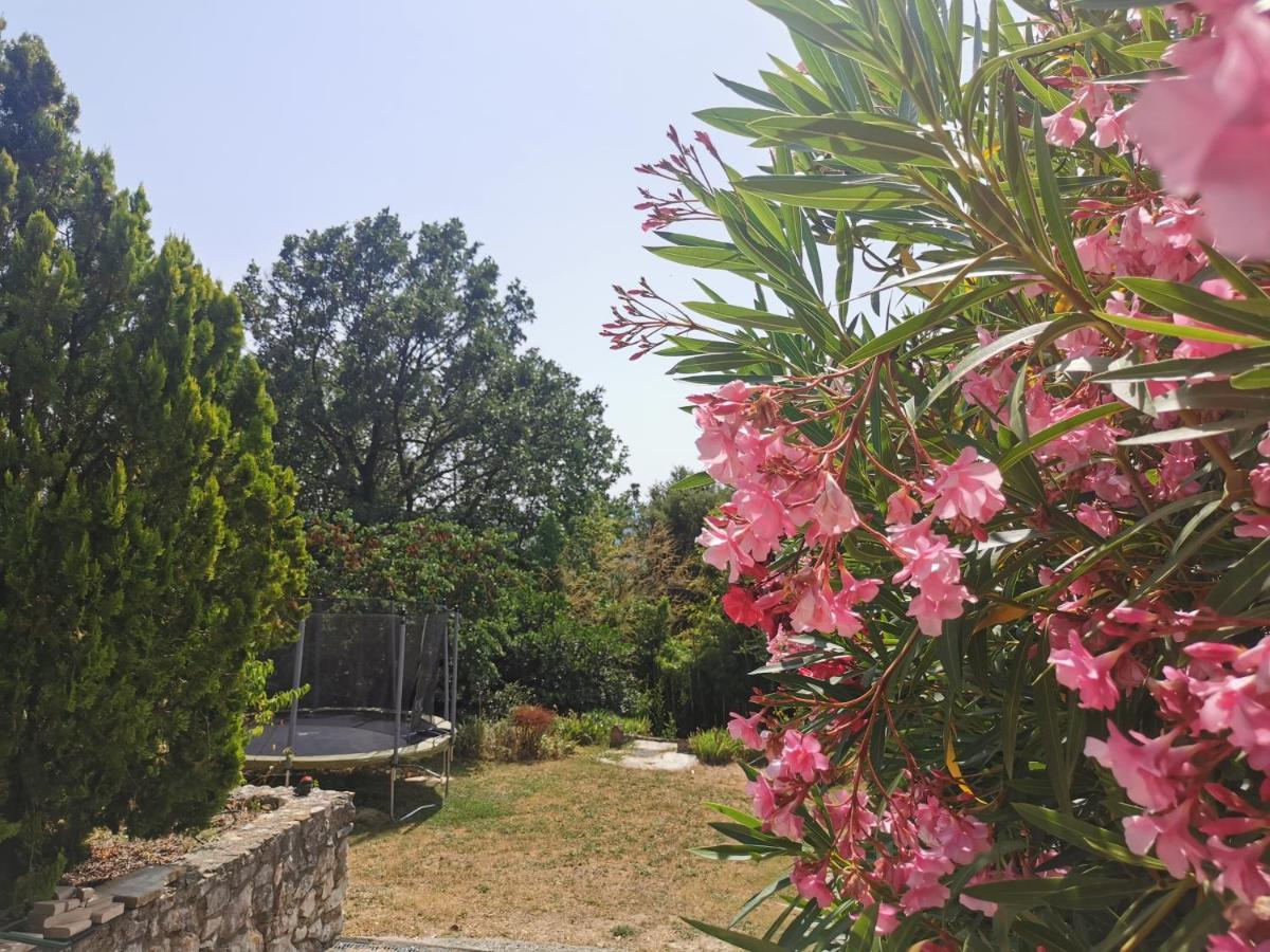 Holiday home Casa Cassien *